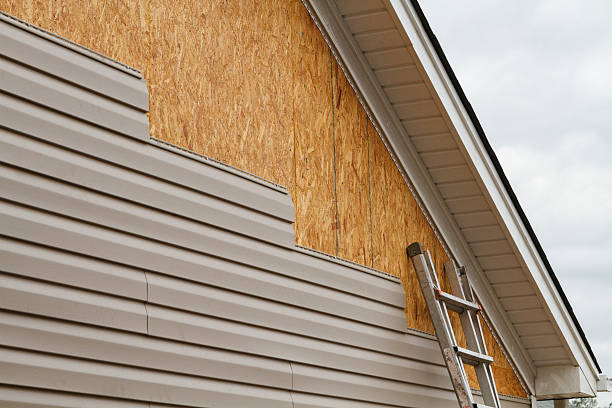 Best Steel Siding Installation  in Rose, LA